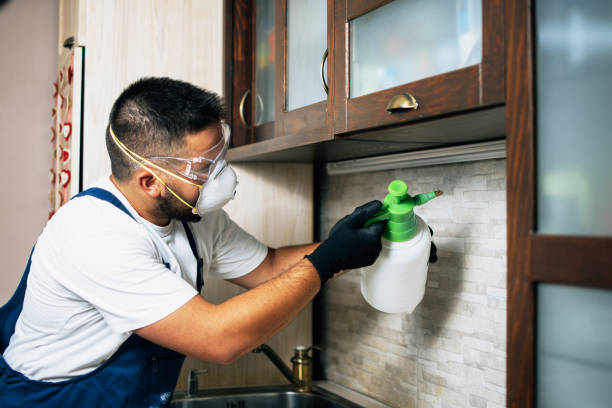 Pest Prevention Services in Edgerton, OH