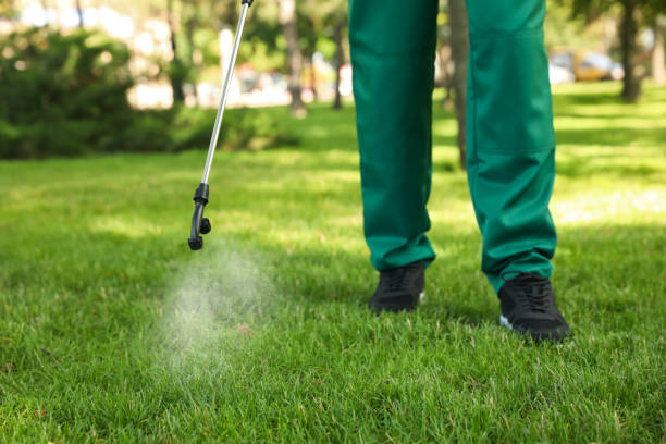 Best Pest Inspection Near Me  in Edgerton, OH