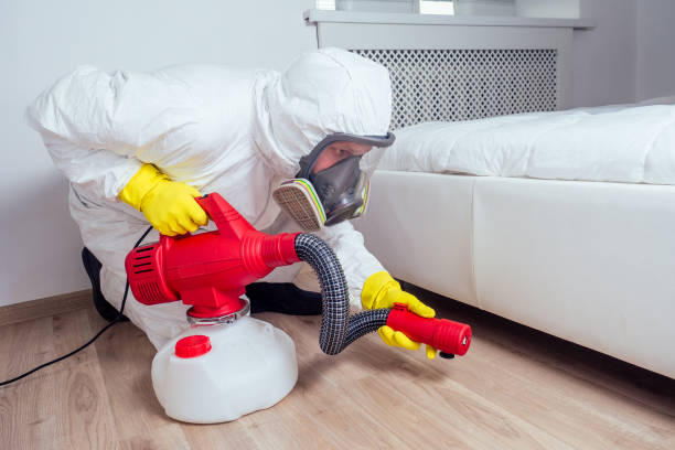 Best Bed Bug Extermination  in Edgerton, OH