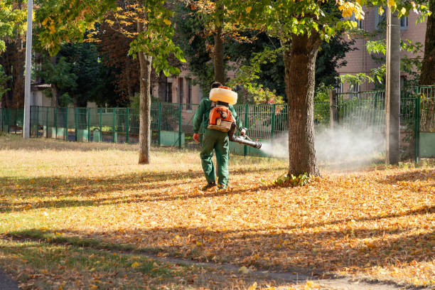 Best Exterminator Services  in Edgerton, OH