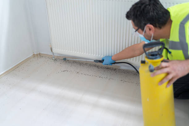 Best Affordable Pest Control Services  in Edgerton, OH