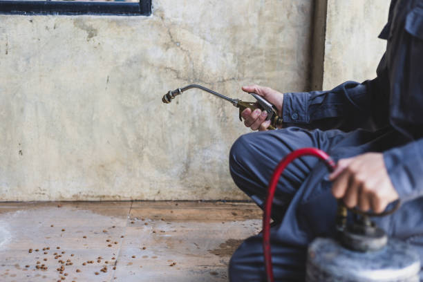 Best Pest Control Near Me in Edgerton, OH